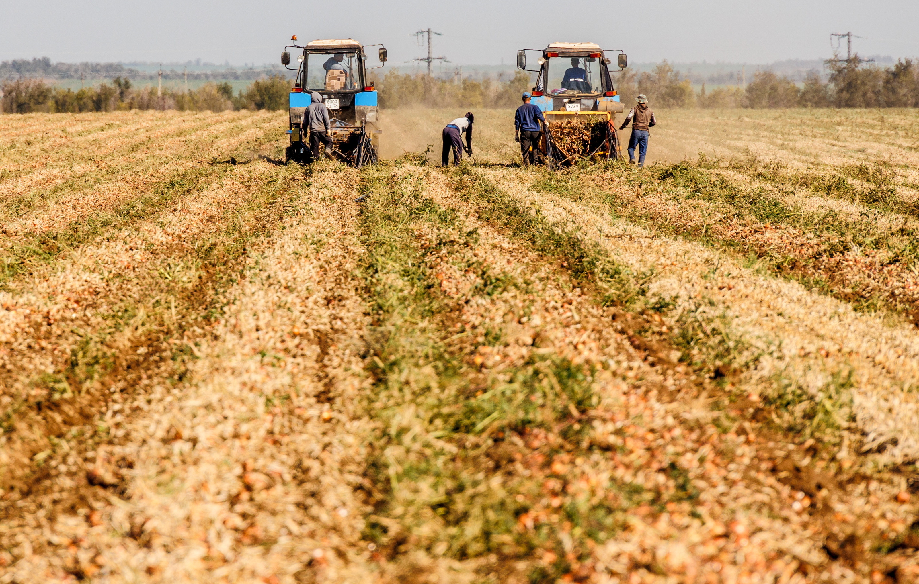 ВТБ тестирует выплаты субсидий фермерам в цифровых рублях ВТБ тестирует выплаты субсидий фермерам в цифровых рублях