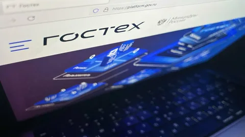 Свыше 25 регионов РФ протестировали решения на «Гостехе»