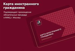  С сегодняшнего запущен сервис «Цифровой профиль иностранного гражданина» 