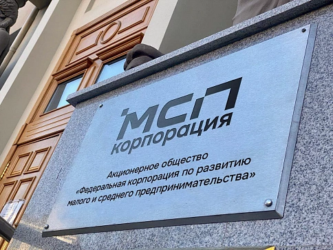 Корпорация МСП: активнее всего в новых регионах растет число МСП в сфере ИТ, строительства и науки