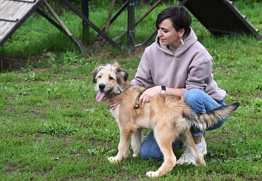 Правительство утвердило Концепцию содействия развитию благотворительной деятельности в России до 2030 года