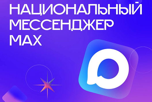 MAX – функции в связке с Госуслугами